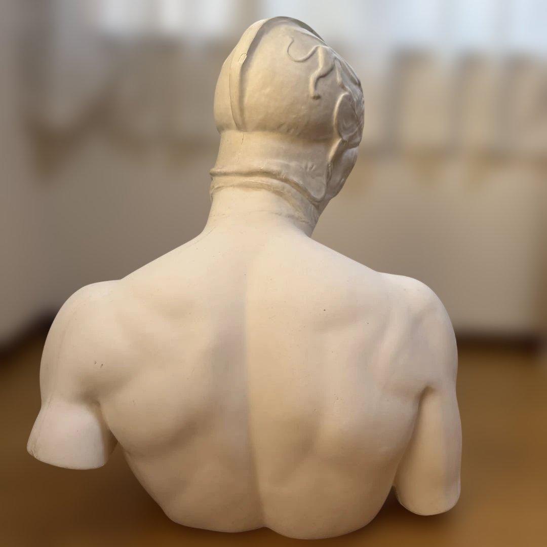 マルス石膏像　胸像