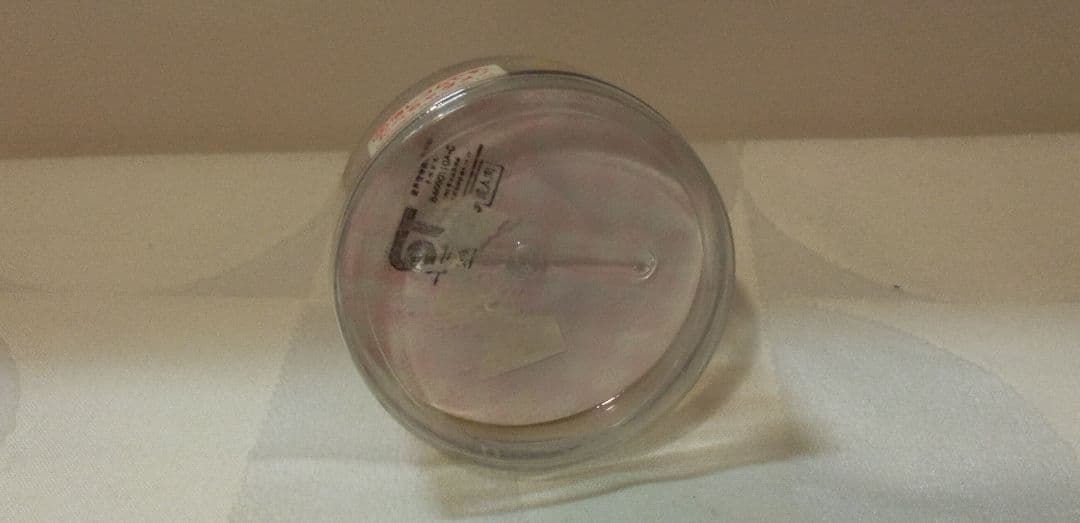 昭和レトロ　ショートケーキ　消しゴム　シュガーキッズ