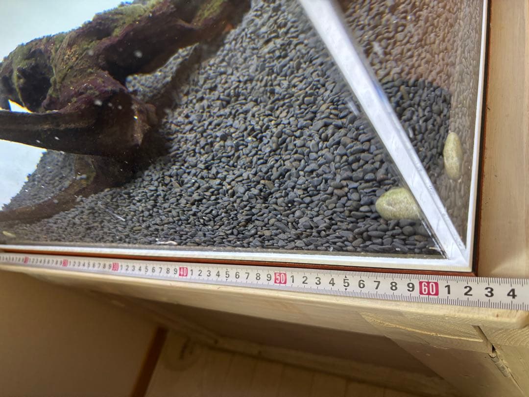 大森　アクリル水槽　120×60×45 水槽台セット　大型水槽　引取り限定