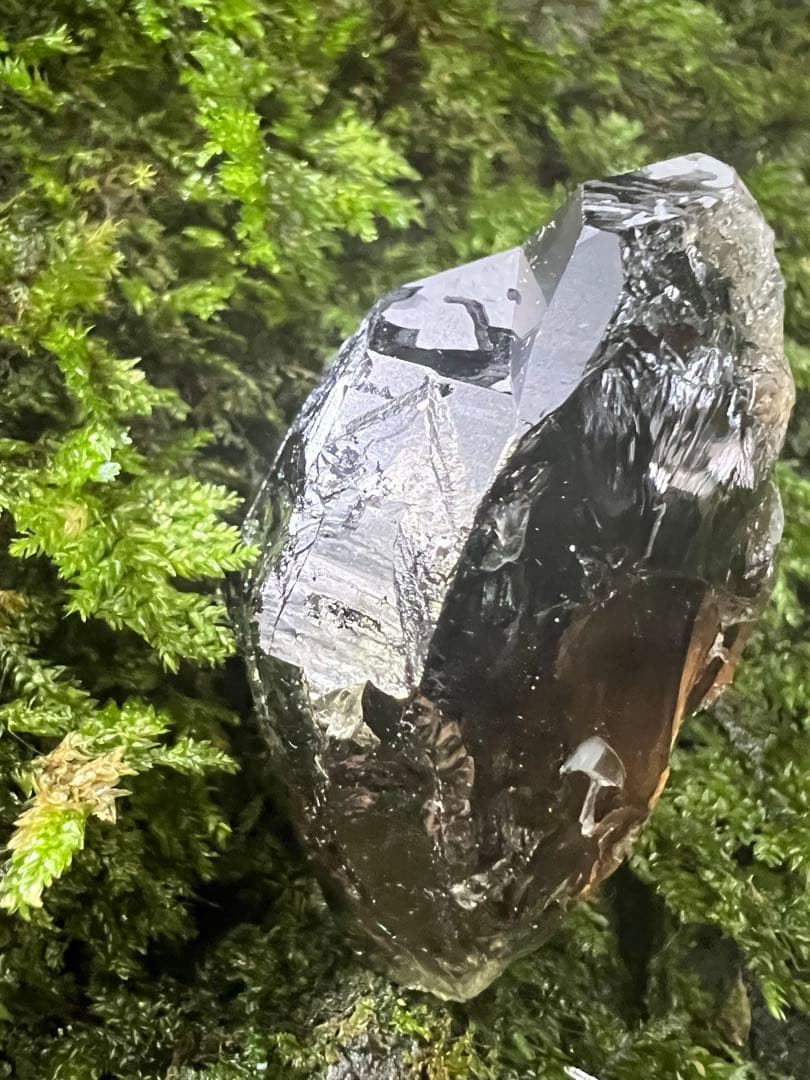 龍脈の精髄 九州産黒水晶 「闇を封じる最強の護り」【保護猫活動支援】