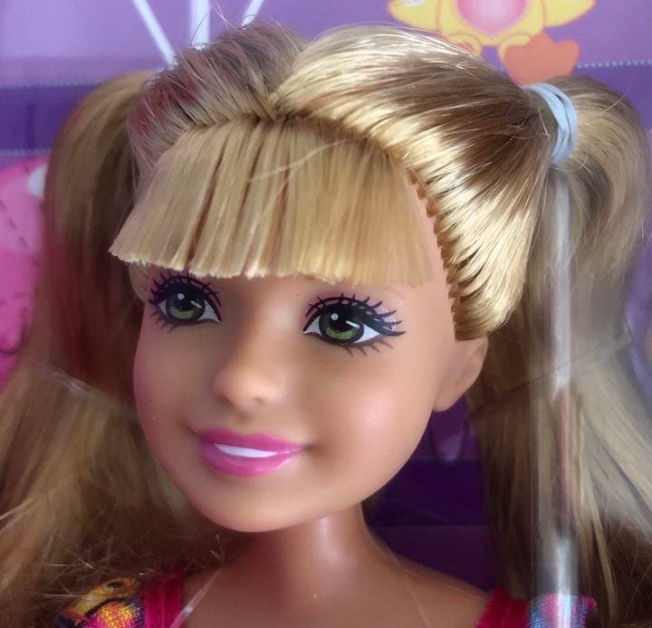 新品。アメリカで購入、バービー人形。姉妹で遊園地2012年。かわいい綺麗❤️