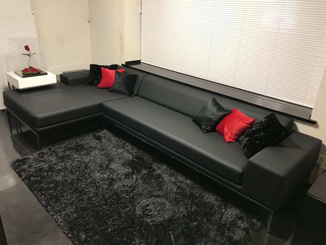 【期間限定値下げ中】カウチソファ【値引き歓迎】