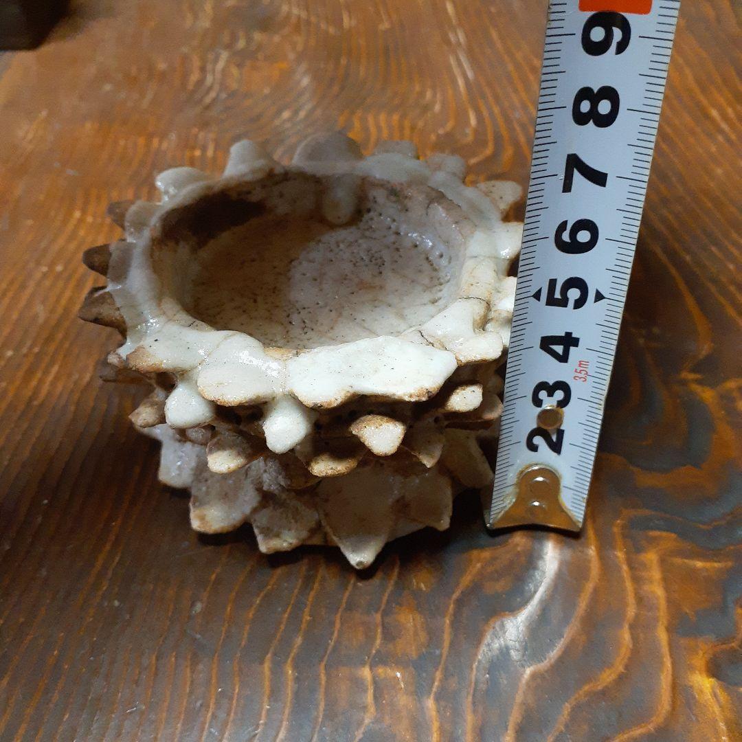 幻の志野焼蓮華台