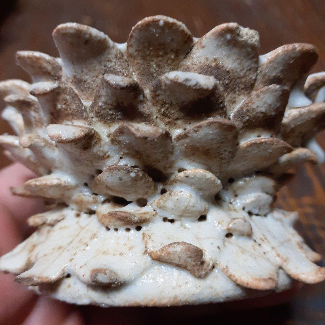 幻の志野焼蓮華台