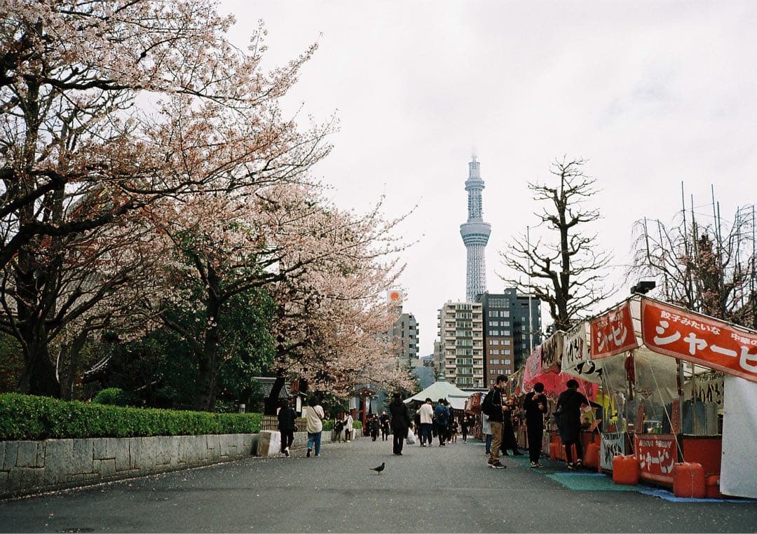 【最終セール】CONTAX T3 フィルムカメラ ケースつき