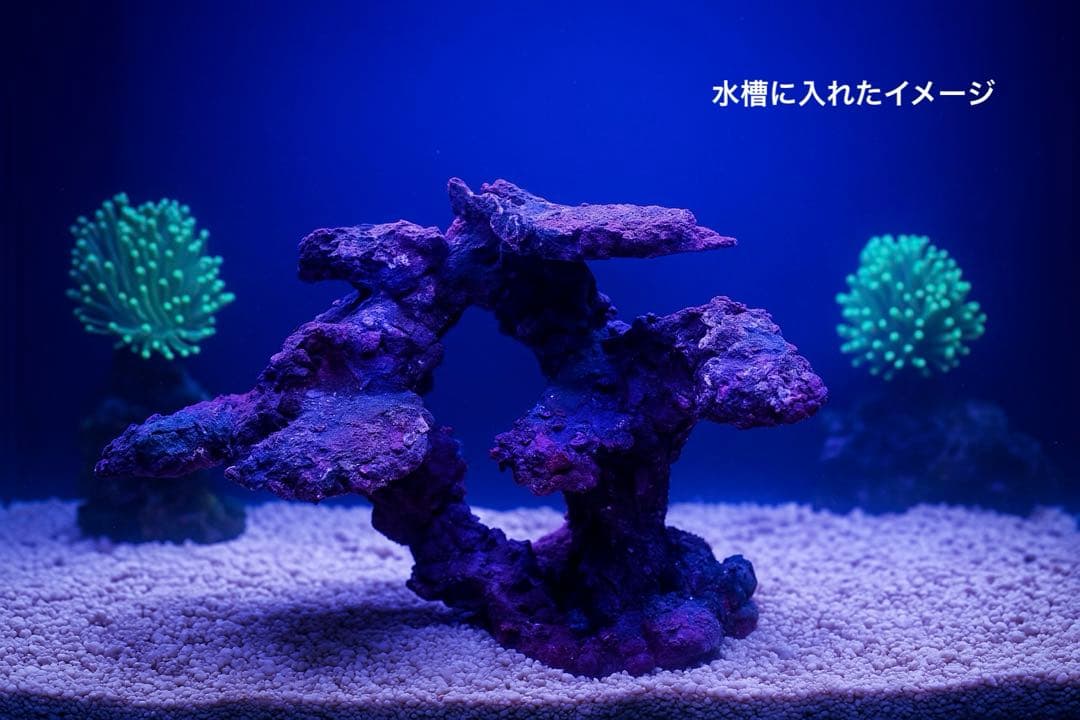 人工ライブロック　SHR28 アク抜き済み安心塗料使用