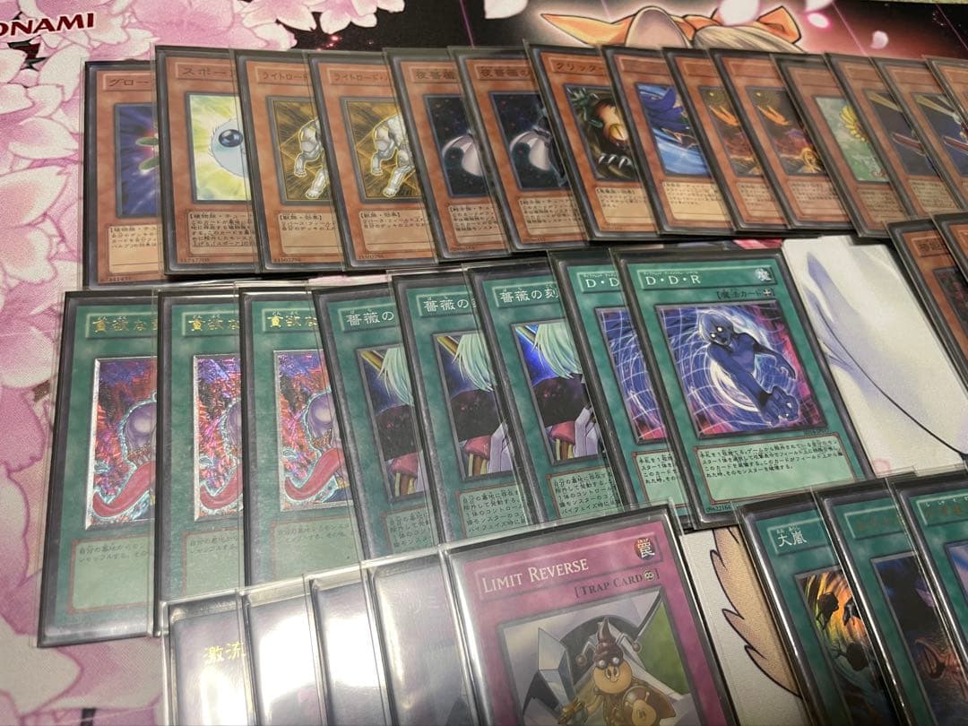 遊戯王　デブリダンディ　2011年　ゲートボール　装備植物