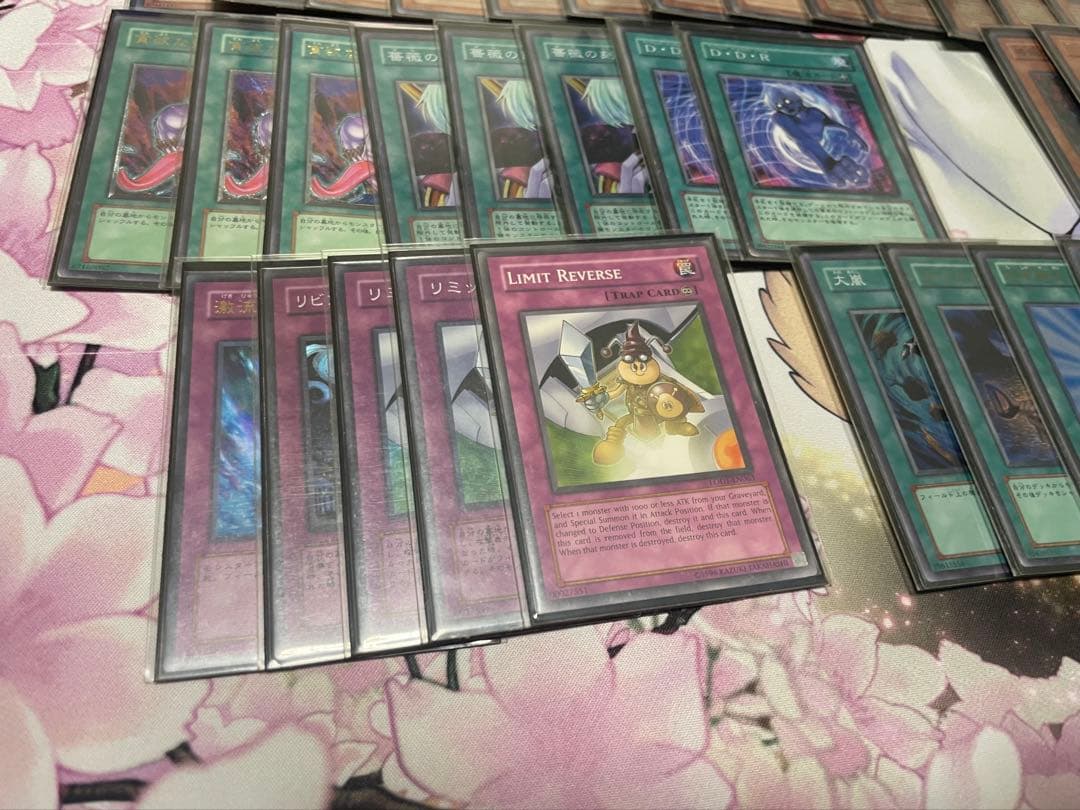 遊戯王　デブリダンディ　2011年　ゲートボール　装備植物