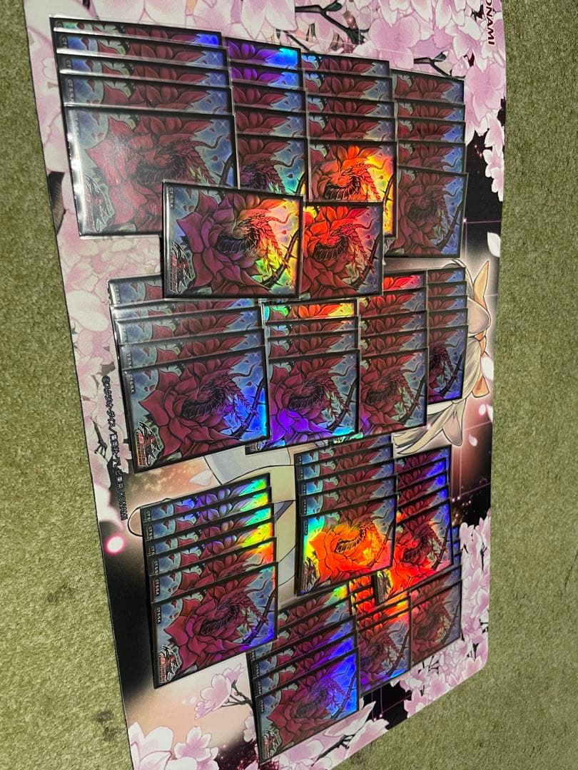 遊戯王　デブリダンディ　2011年　ゲートボール　装備植物