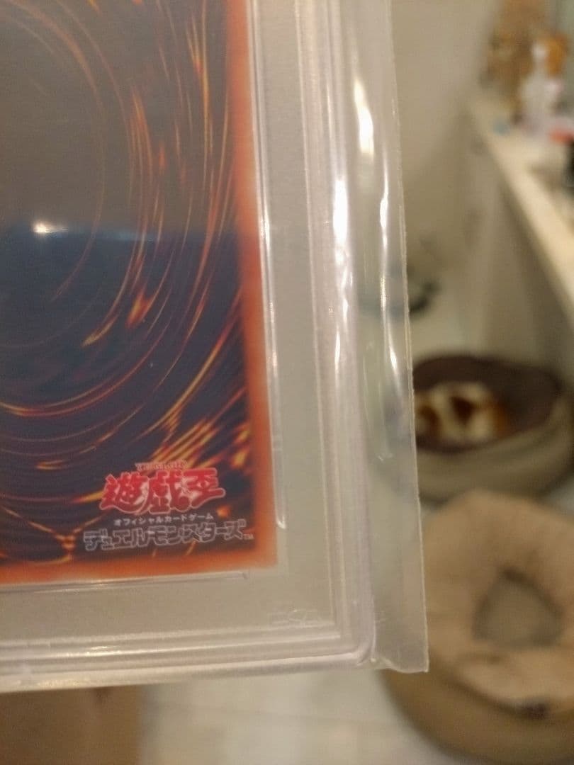 竜騎士ブラックマジシャンガール　プリシク　psa10