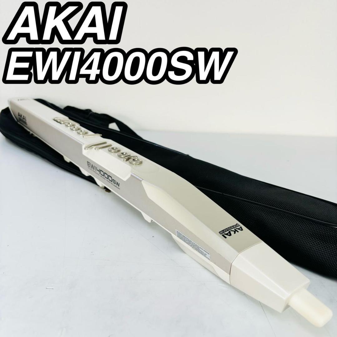 AKAI アカイプロフェッショナル イーウィ EWI4000SW ウインドシンセ
