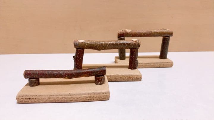 幼鳥、病鳥、老鳥　3（スリー）セット♪