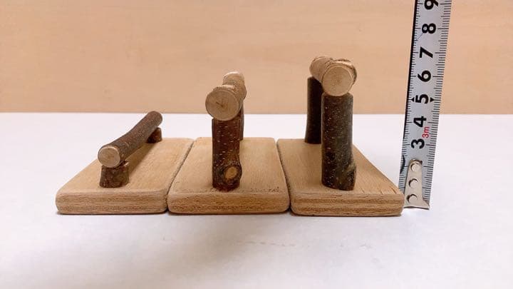 幼鳥、病鳥、老鳥　3（スリー）セット♪