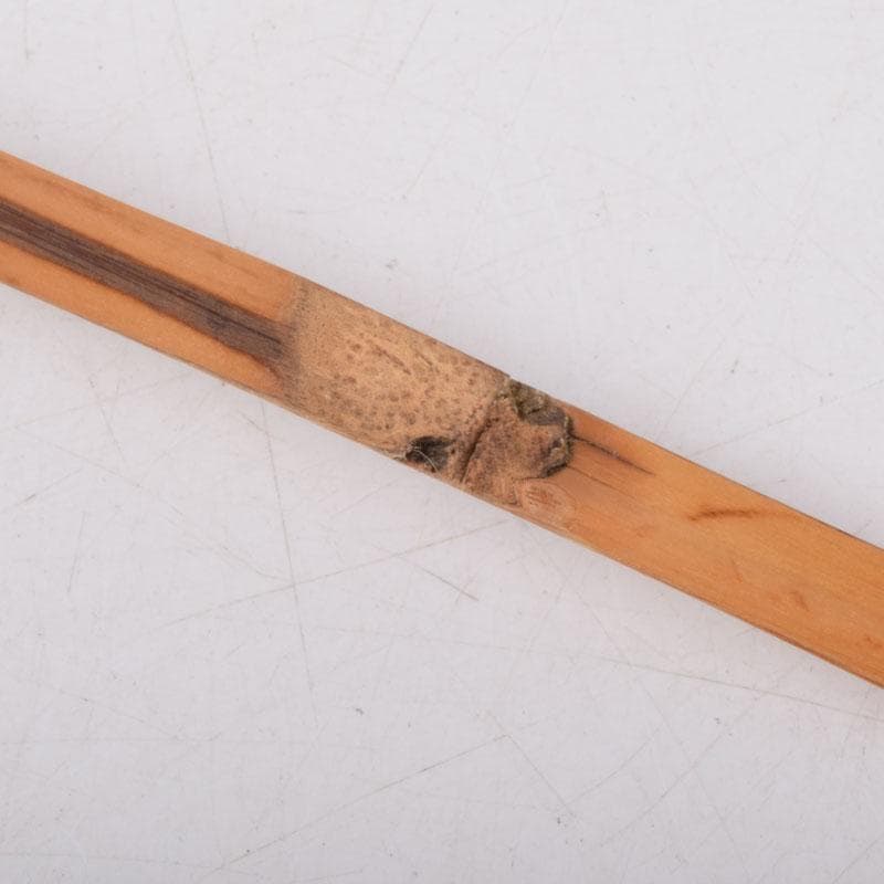 茶道具　宗春下削　茶杓　銘花衣　前大徳　戸上明道書付　共筒共箱　V　8524