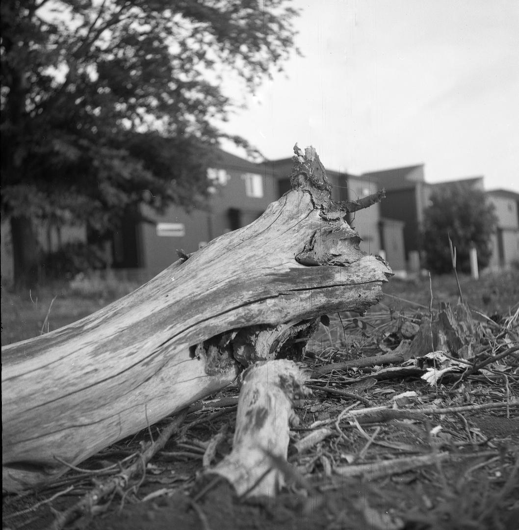 ＜作例あり＞YASHICAFLEX　二眼レフ