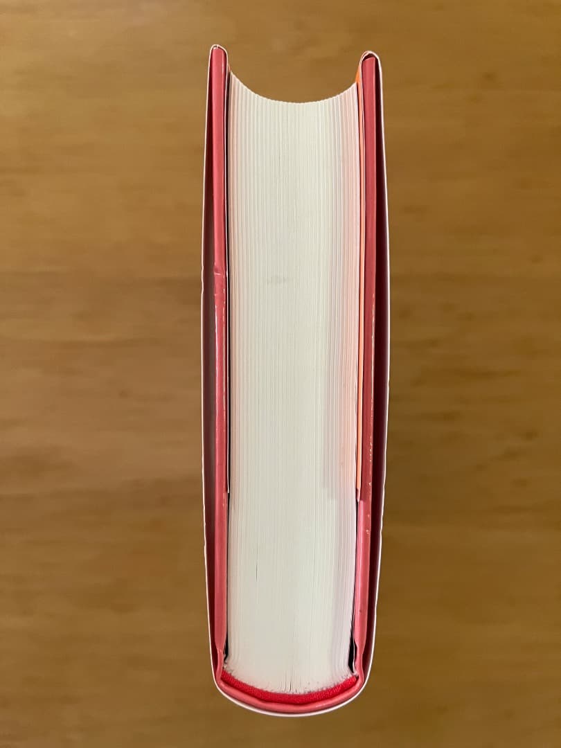 アミ 3度めの約束 エンリケ・バリオス