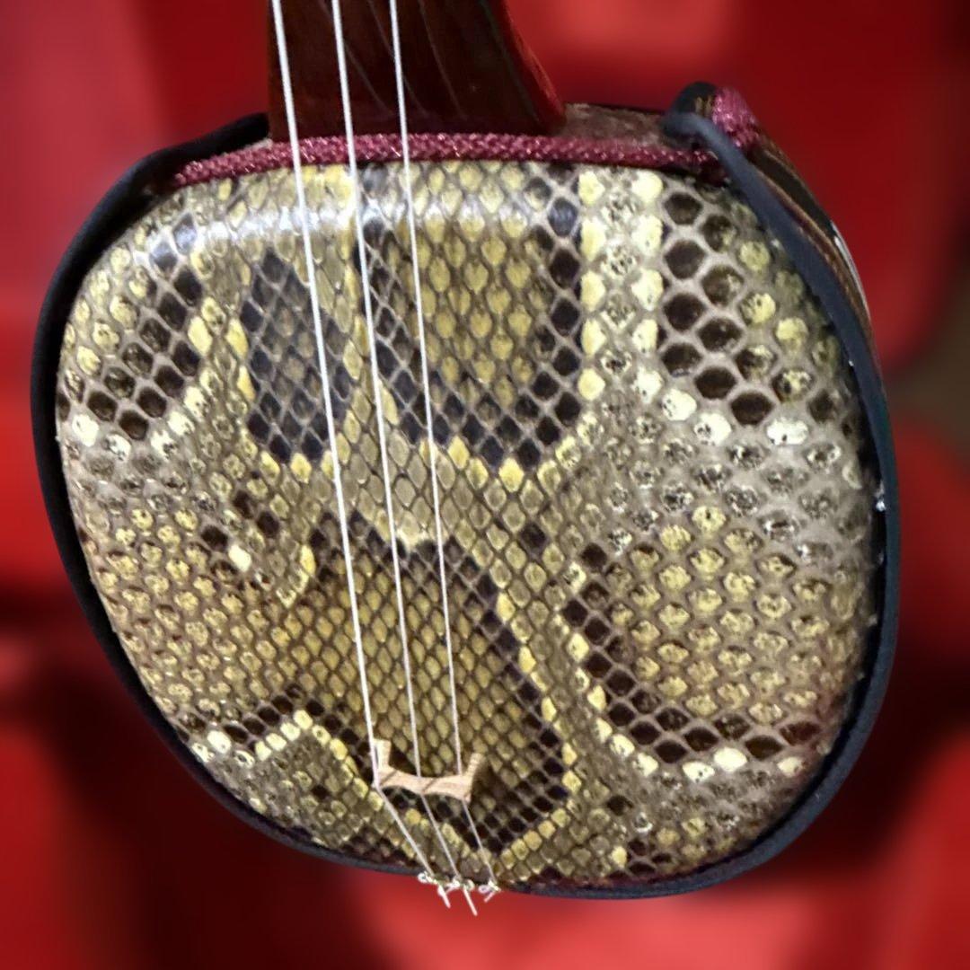 沖縄　三線　弦楽器　ソフトケース付き　リュックタイプ