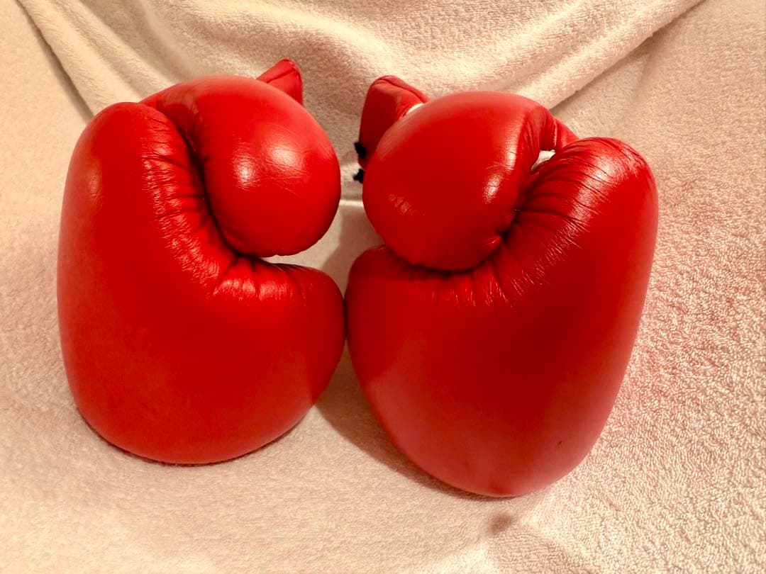 Winning ボクシンググローブ 8oz 赤　中古