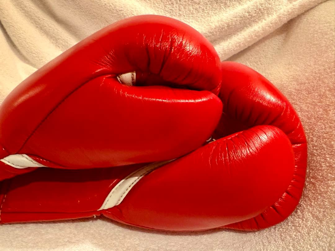 Winning ボクシンググローブ 8oz 赤　中古