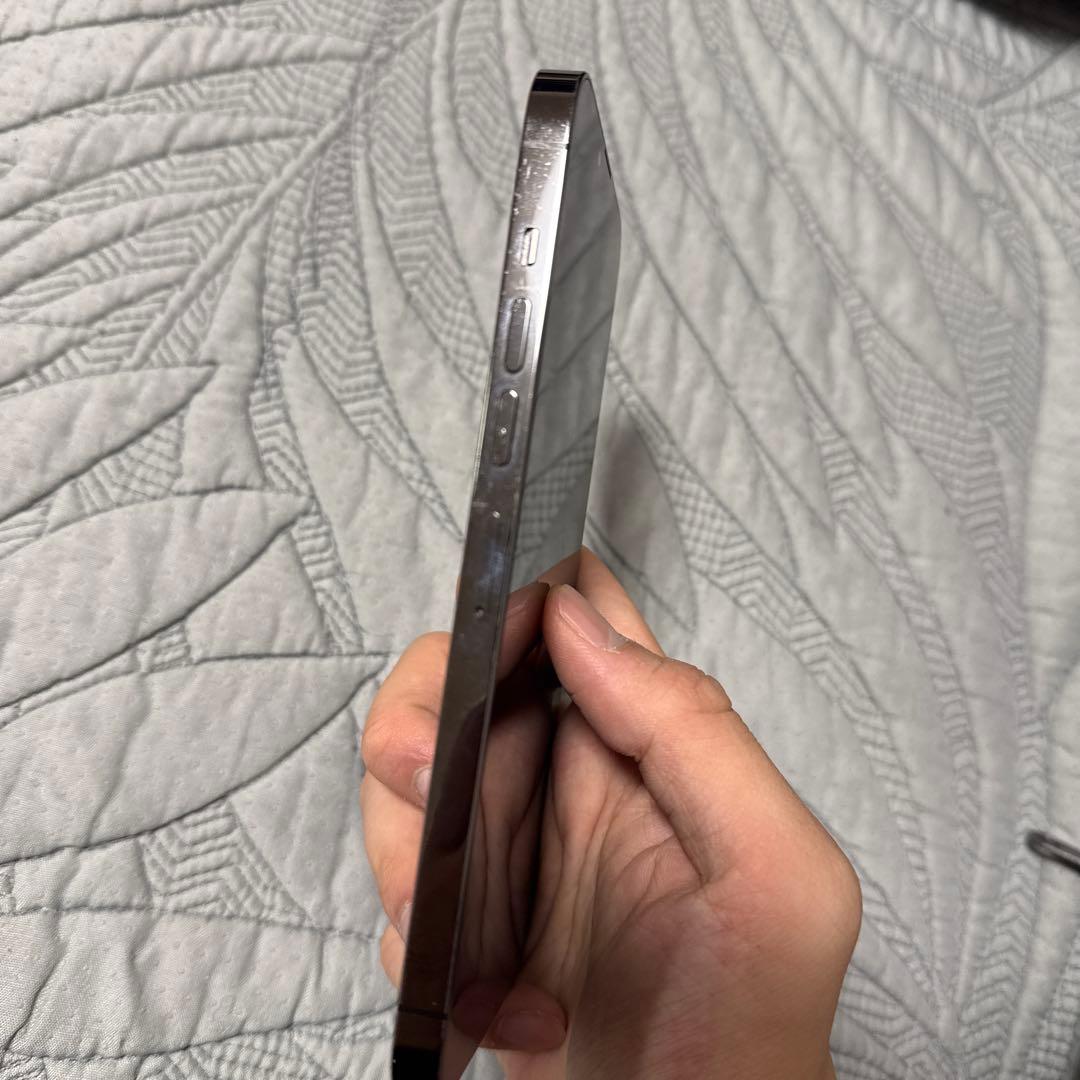 Apple iPhone 13 Pro max 1TB SIMフリー