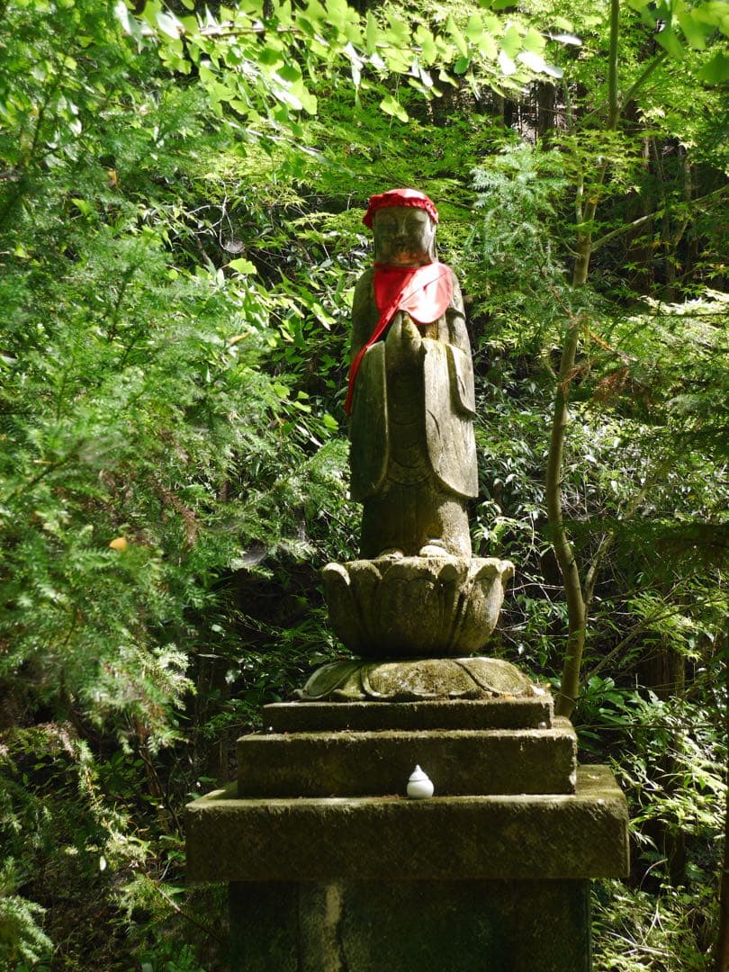 LUMIX G6 & DJI Ronin SC 映像制作用フルセット