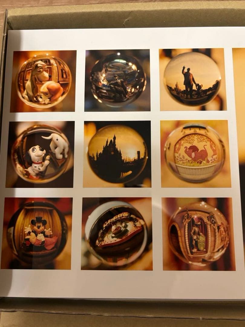 レア　ディズニー　イマジニングザマジック　アート　パネル　魚眼レンズ