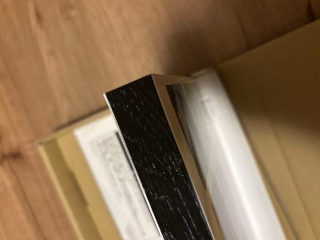 レア　ディズニー　イマジニングザマジック　アート　パネル　魚眼レンズ