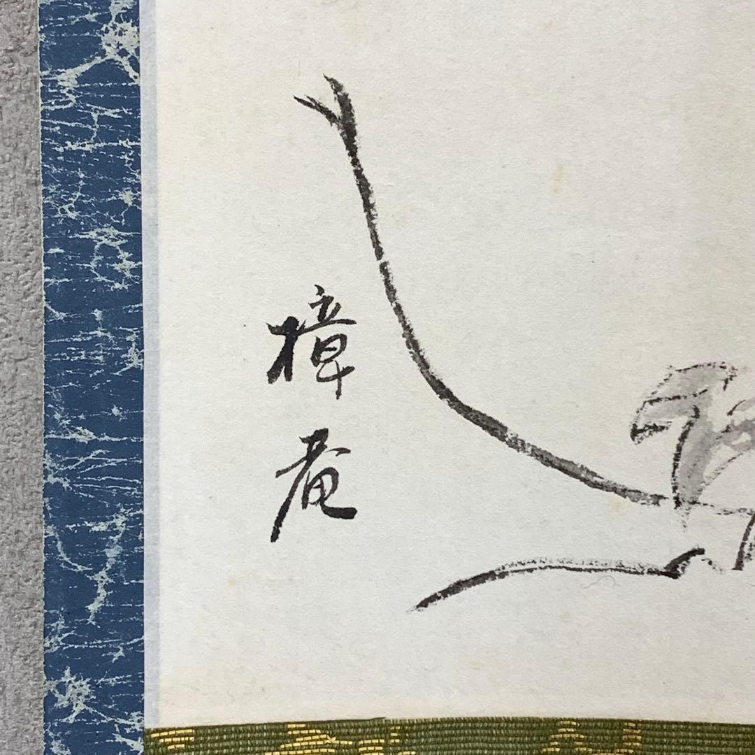 【bianchi】掛軸 木村樟庵 朝顔 涼風颯々声 紙箱 画賛 3-51