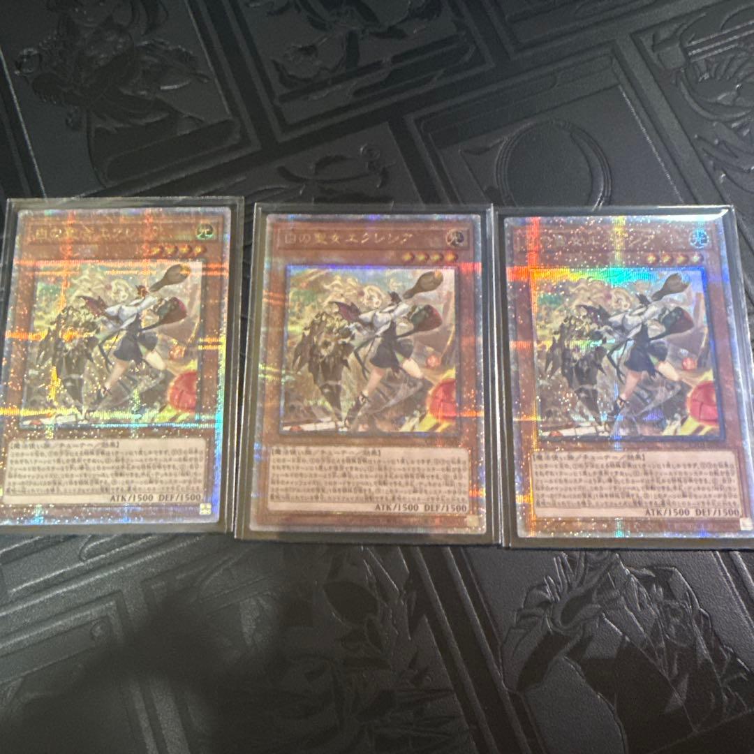 白の聖女エクレシア　25th