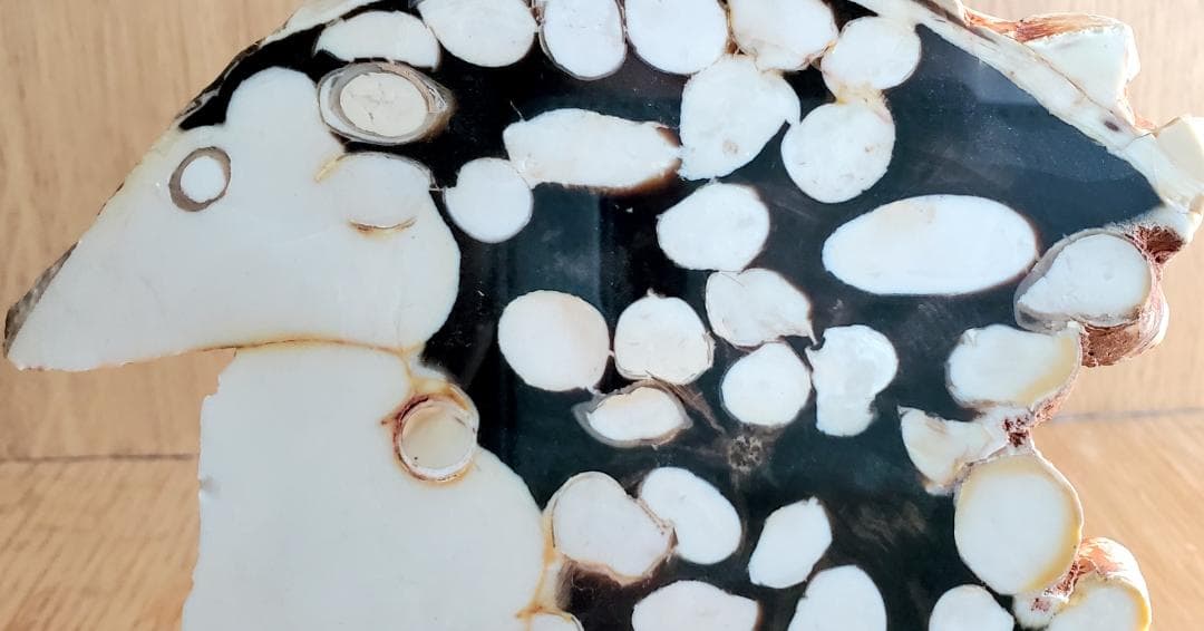 【コレクターズアイテム】ピーナッツ・ウッド