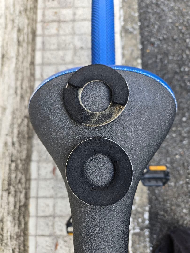 SE BIKES BIG FLYER 29インチ BMX