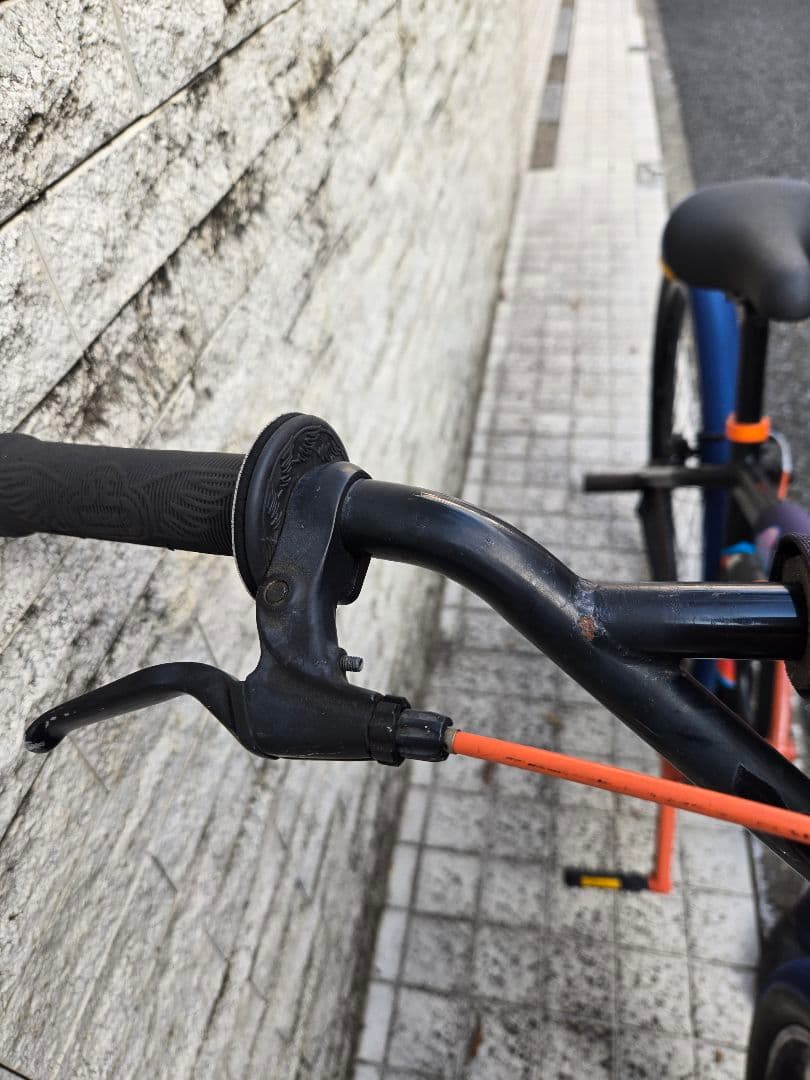 SE BIKES BIG FLYER 29インチ BMX