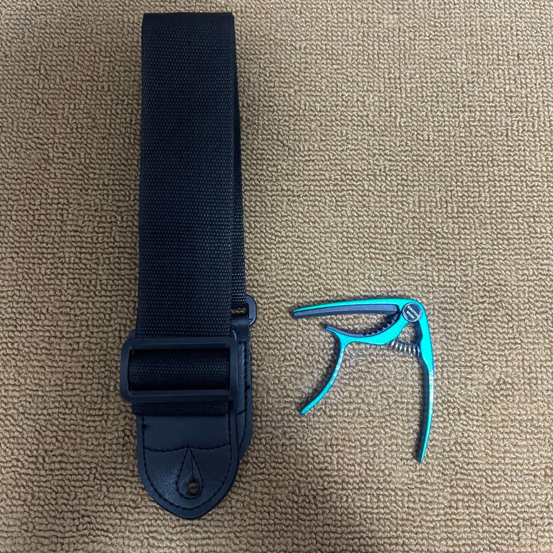 Laid Back LST-5R LPB レイクプラシットブルー