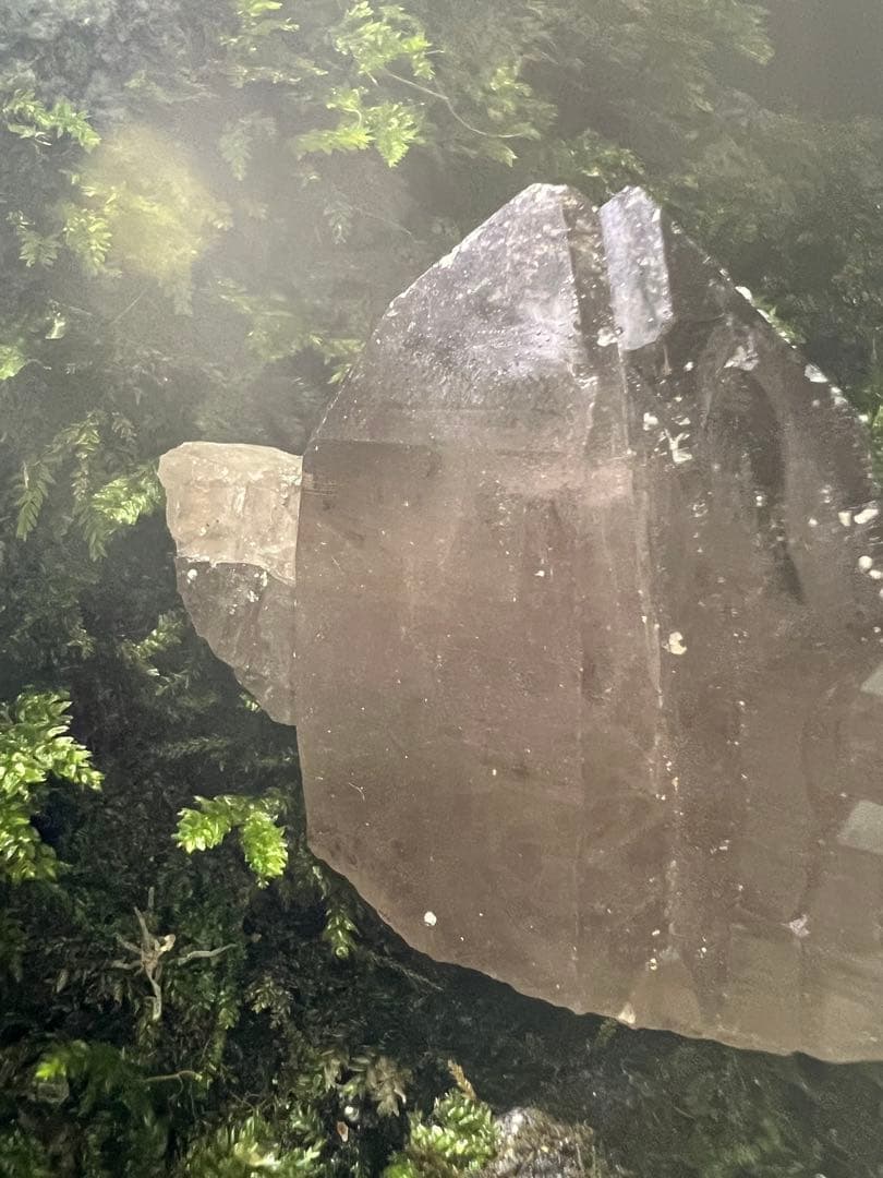 龍脈の精髄 ⭐︎九州産煙水晶ツイン 「大地と縁を結ぶ祓いの力」【保護猫活動支援】