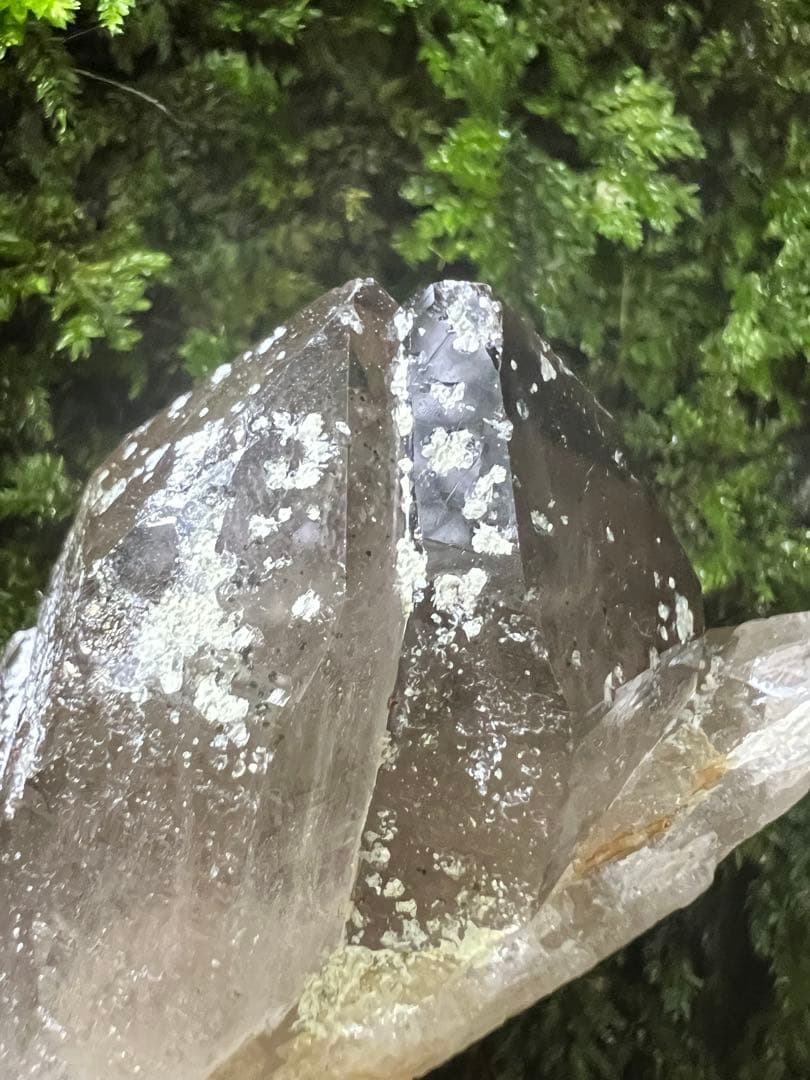 龍脈の精髄 ⭐︎九州産煙水晶ツイン 「大地と縁を結ぶ祓いの力」【保護猫活動支援】