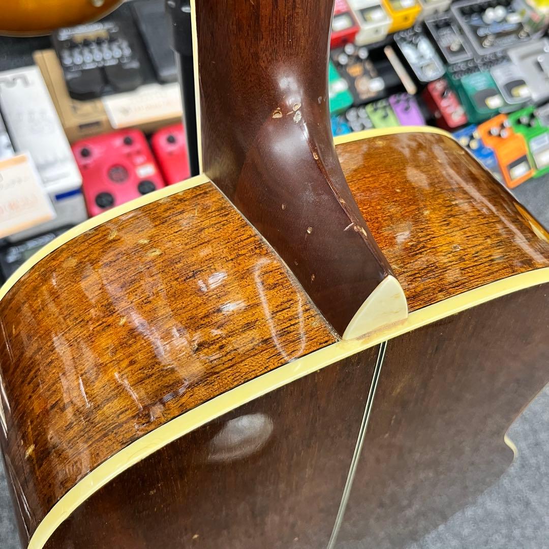 【11562】Morris アコースティックギター