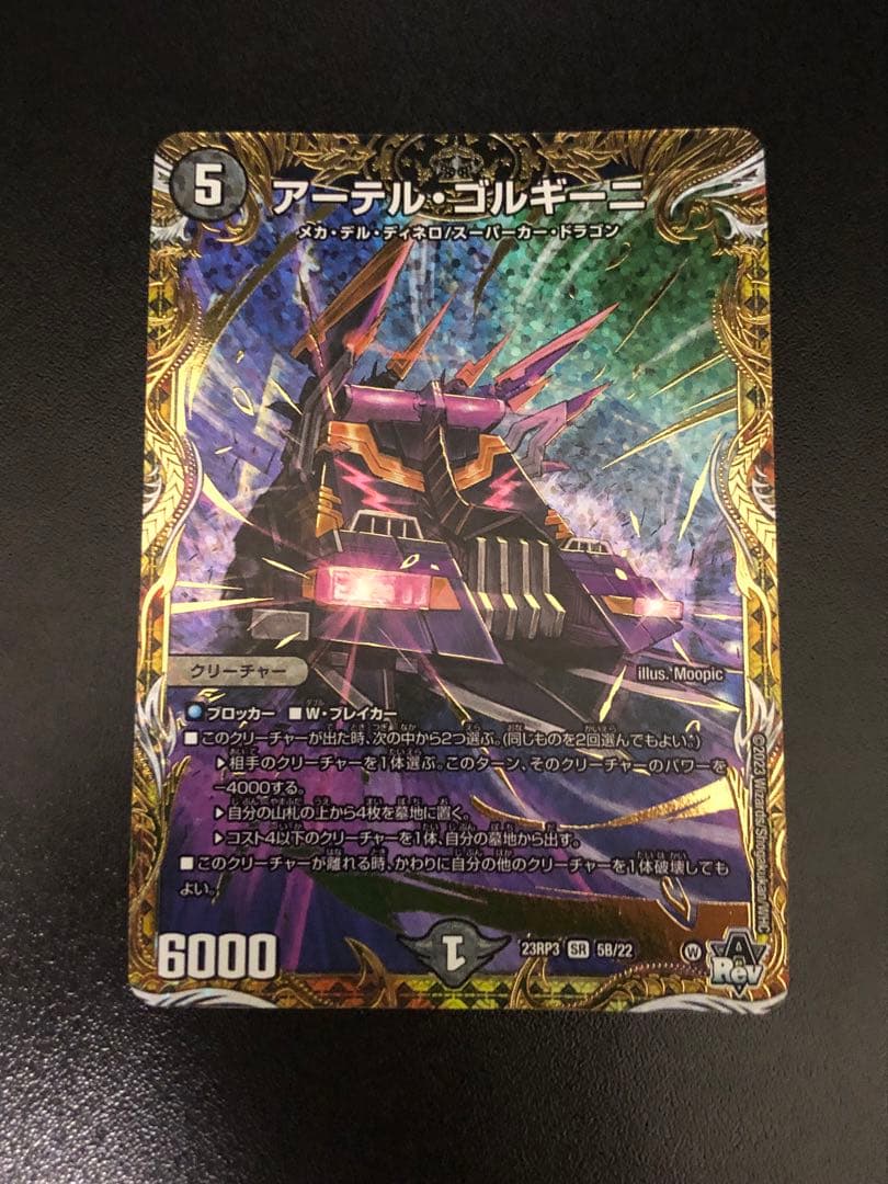 アーテルゴルギーニ　b ②