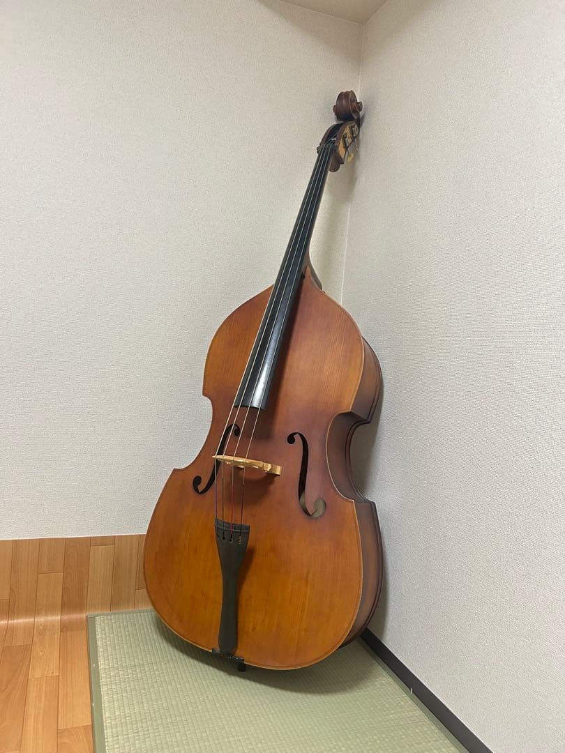 【関西での手渡し】ハルシュタット コントラバス WBS-800