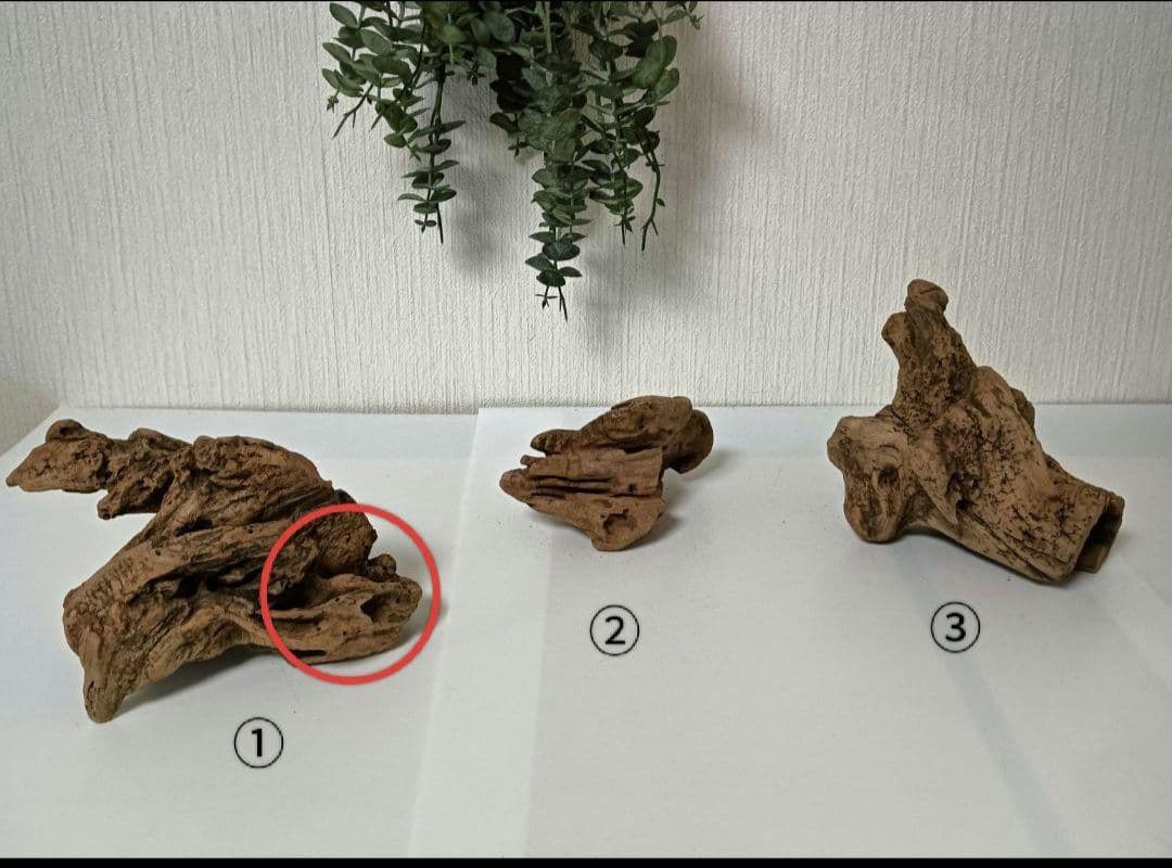 シグノ様　流木465　468　 469 　リクエスト　3点 おまとめ商品