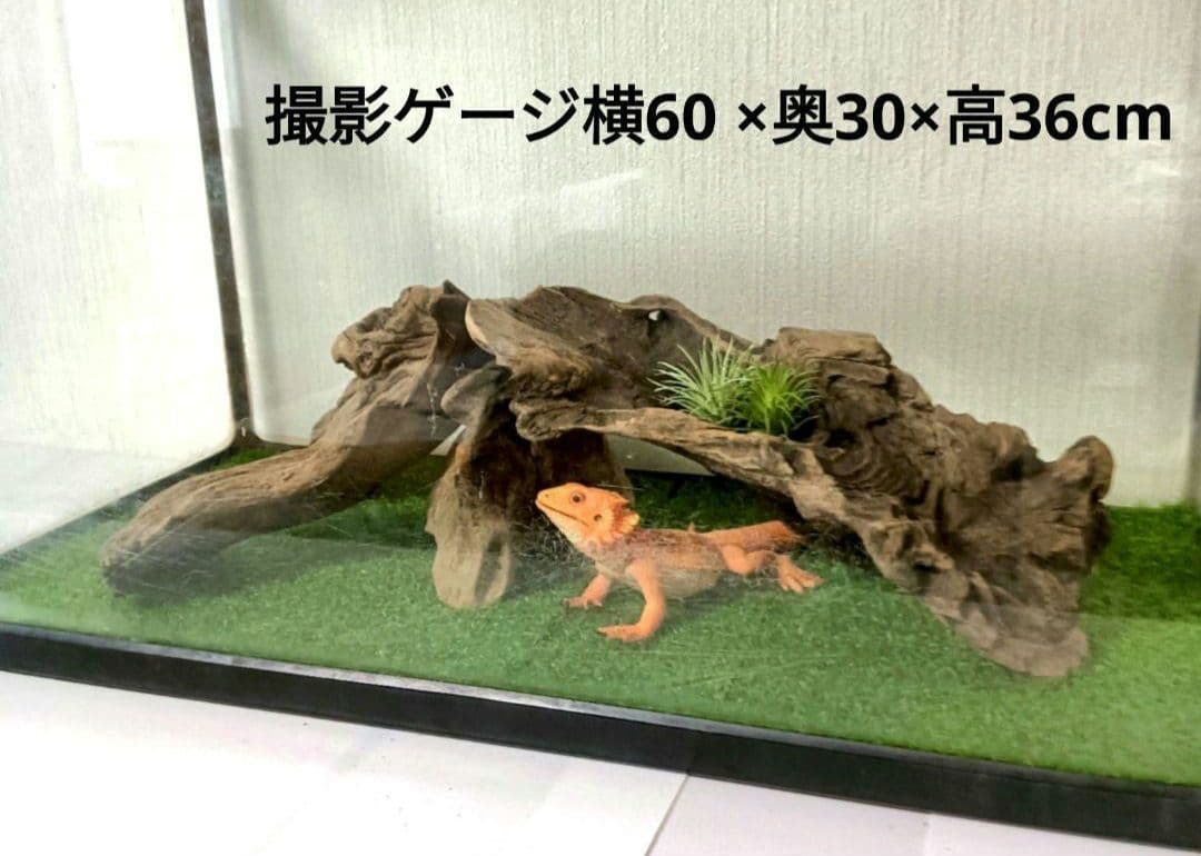 シグノ様　流木465　468　 469 　リクエスト　3点 おまとめ商品