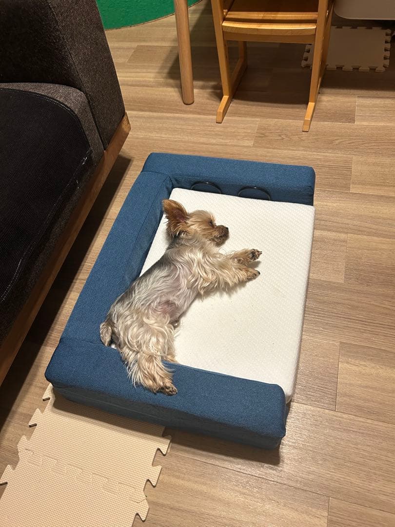 ☆期間限定☆新品☆未開封品❗️コアラマットレス ペット用 ベッド KUDDLE