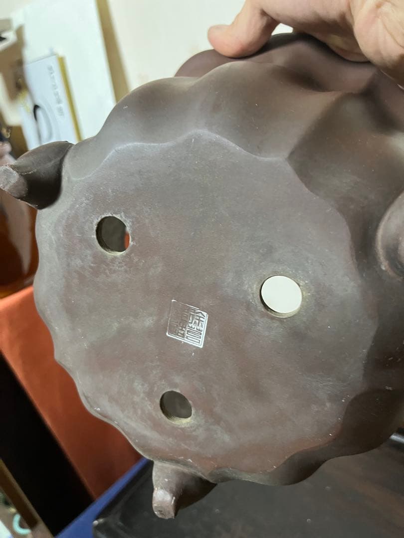 482 盆栽　盆栽鉢　植木鉢　中国鉢