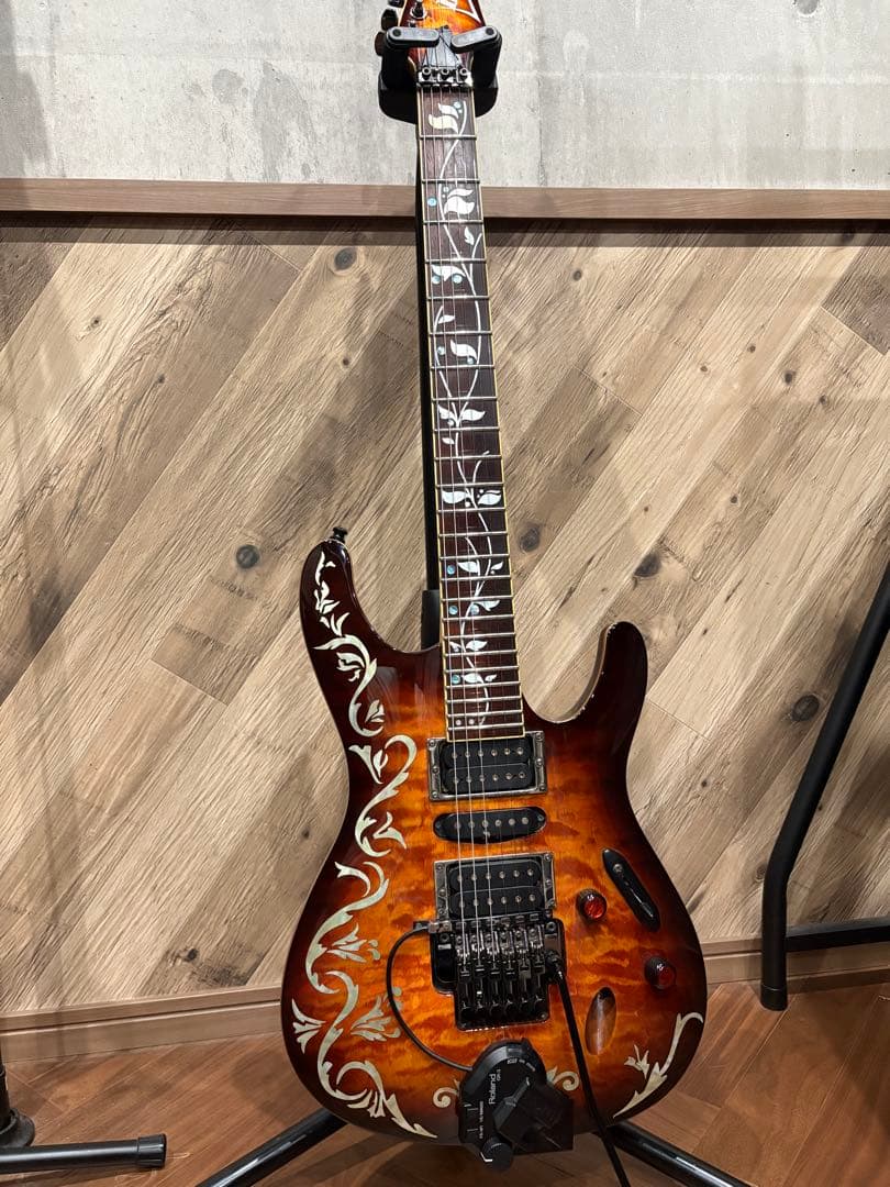 アイバニーズS670QM (DEB) GK-3付き