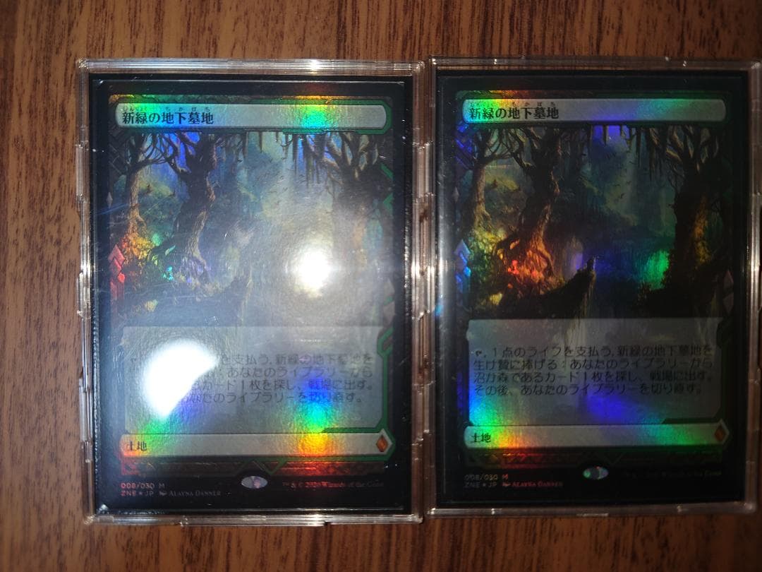 新緑の地下墓地 EXP 日語 2枚