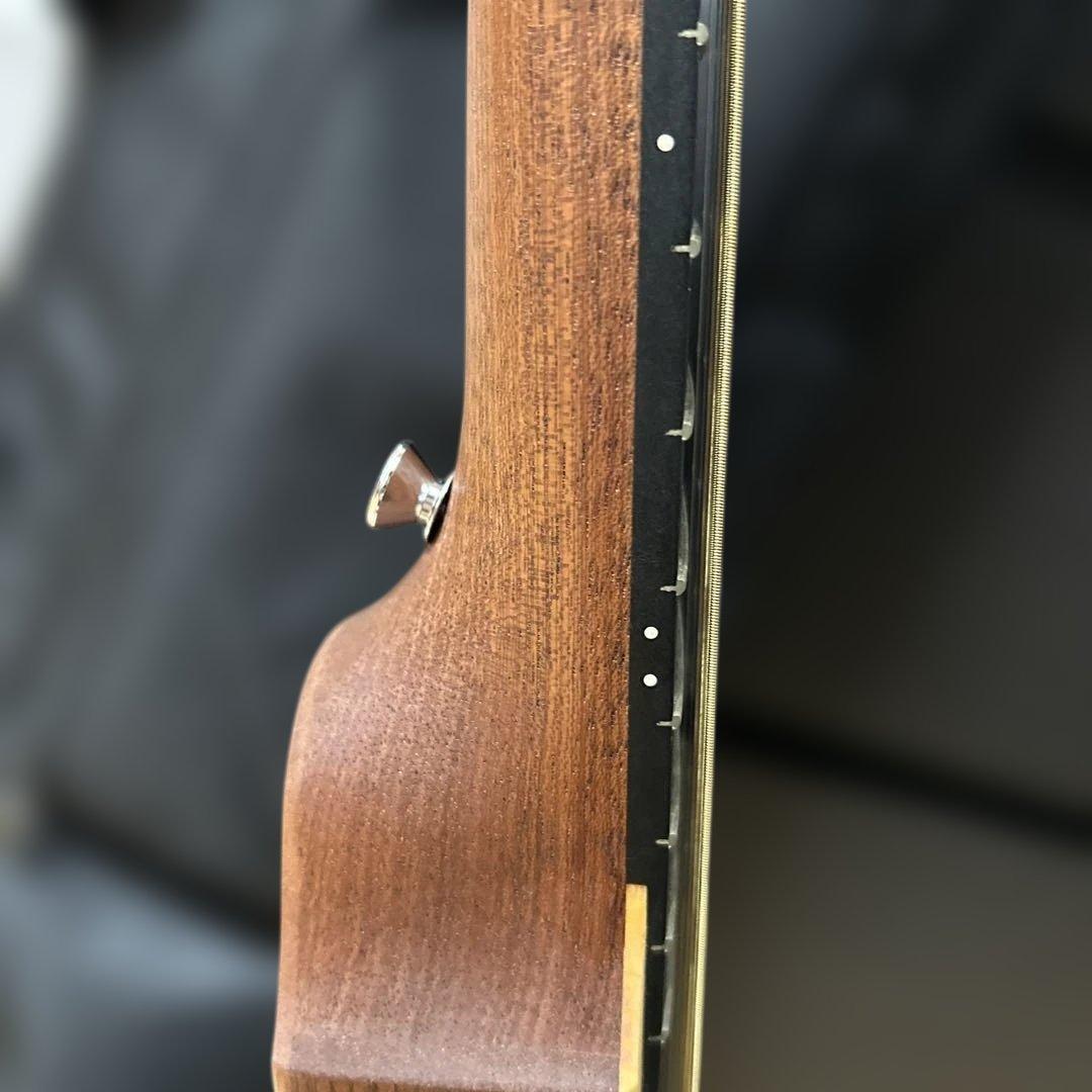 Martin & Co. バックパックギター