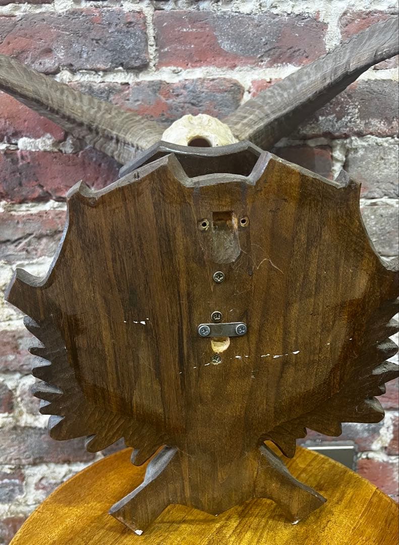 フランスアンティーク　ヒツジ骨剥製壁掛け　ビンテージ