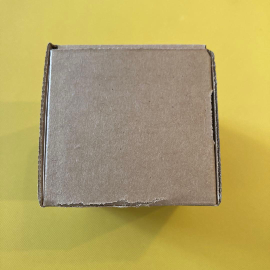 マジック：ザ・ギャザリング Secret Lair Raining Cats and Dogs