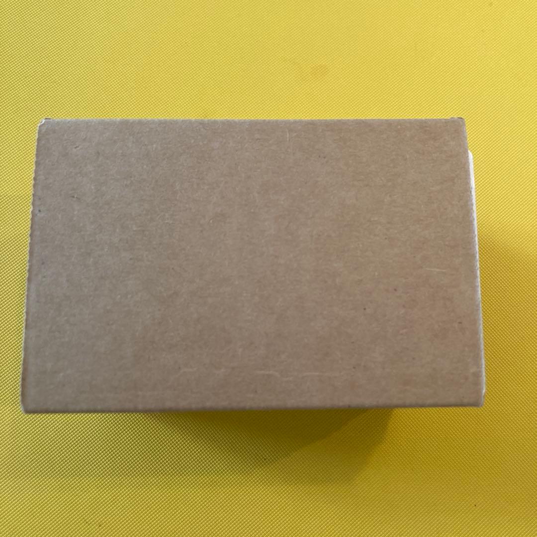 マジック：ザ・ギャザリング Secret Lair Raining Cats and Dogs