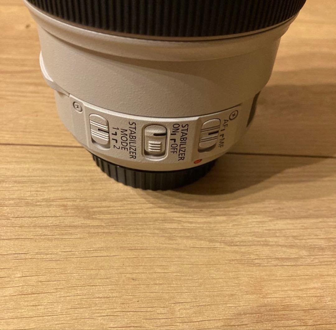 Canon EF70-300mm F4-5.6L IS USM(フィルター付き)