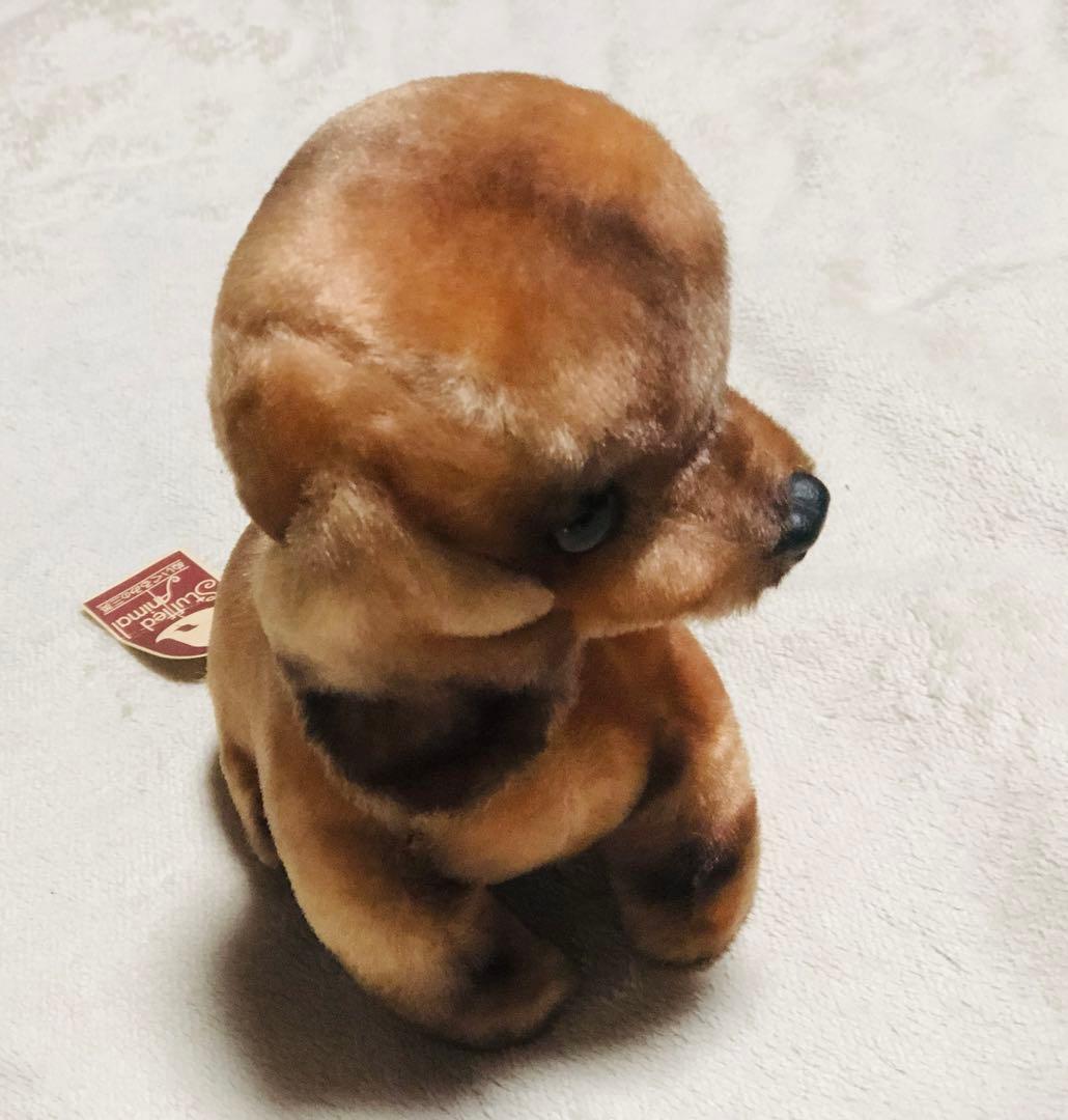 犬　三英　ダックスフント　ぬいぐるみ